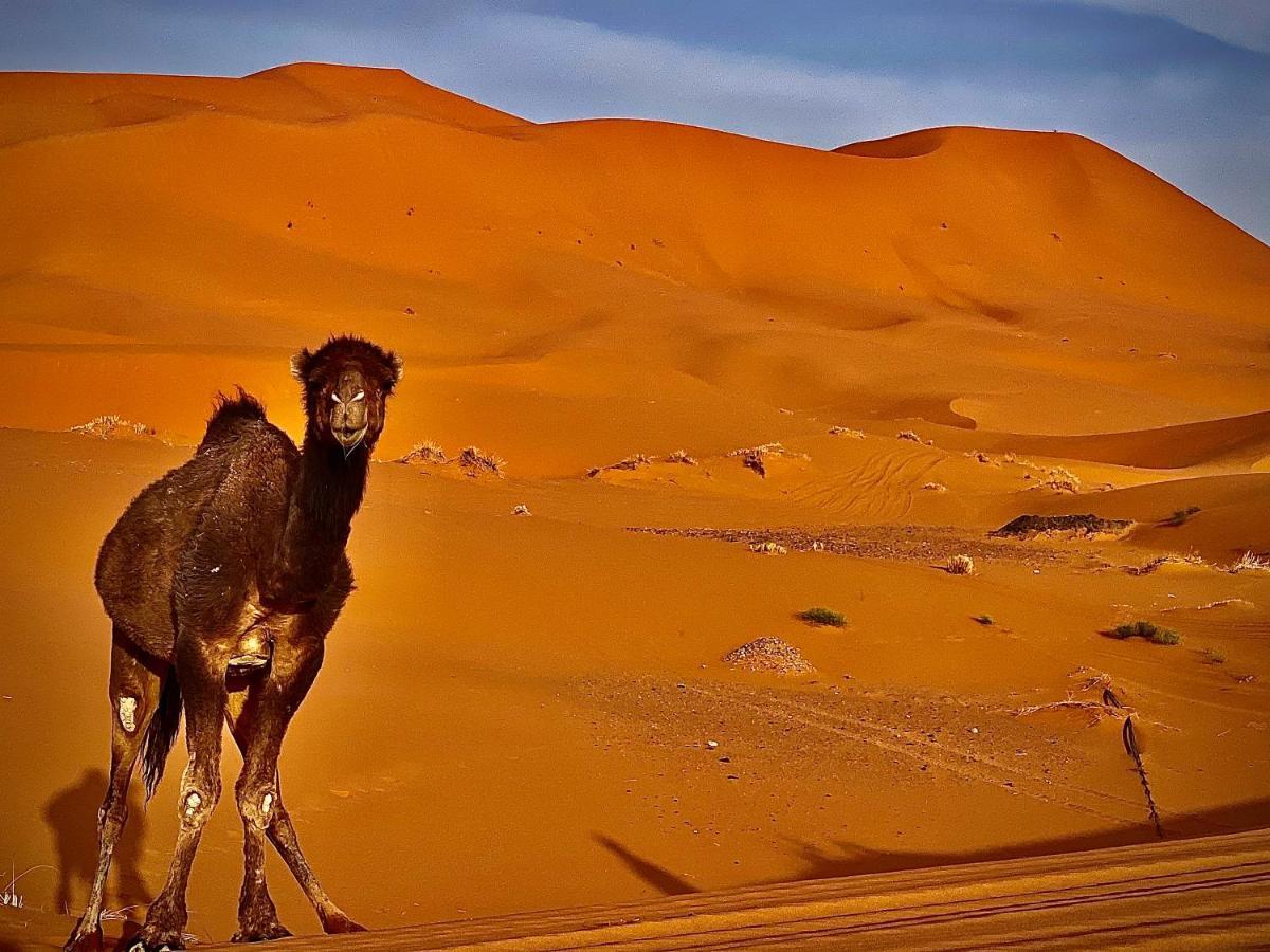 Your Berber Camp Merzouga Zewnętrze zdjęcie
